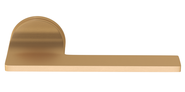 PAL-COS-18 BSG